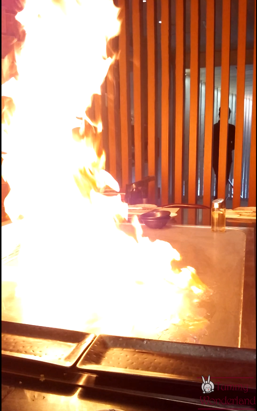 Wafu teppan 3